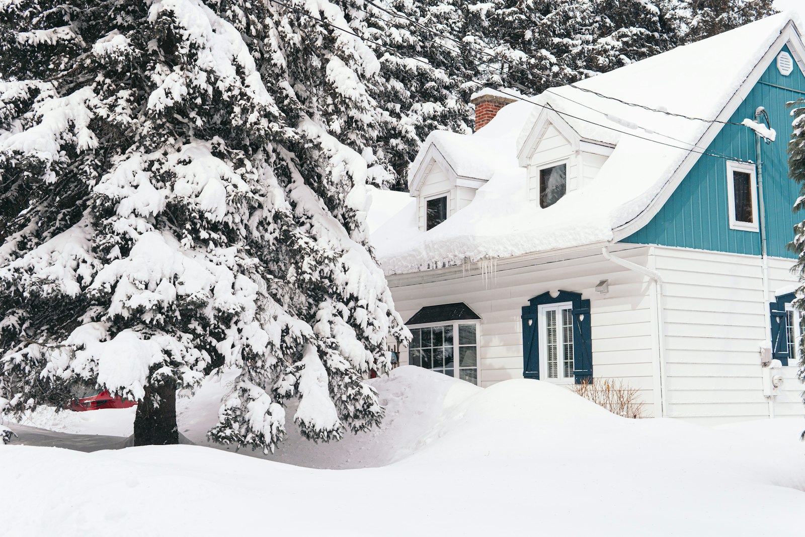 Snötäckt hus bland träd en vinterdag